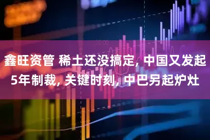 鑫旺资管 稀土还没搞定, 中国又发起5年制裁, 关键时刻, 中巴另起炉灶