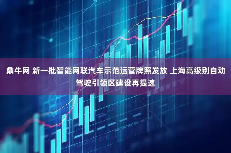 鼎牛网 新一批智能网联汽车示范运营牌照发放 上海高级别自动驾驶引领区建设再提速